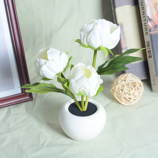 LED flower pot night light with peony or tulip heads – view 2