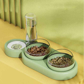 Pet Food Bowl