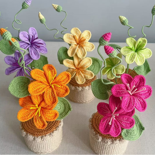 Handmade crochet potted double-head flower – Kayluz Home