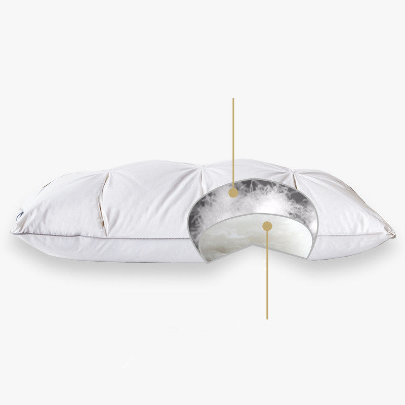 Down Pillow Core Set