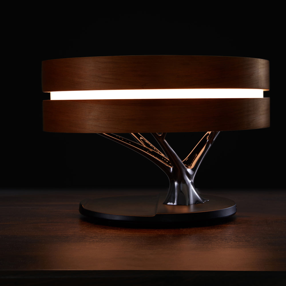 Multifunctional Wireless Charging Music Desk Lamp