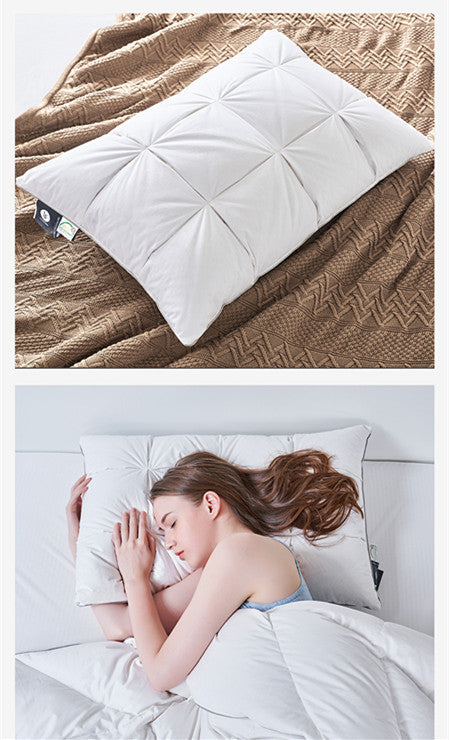 Down Pillow Core Set