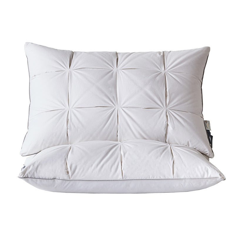 Down Pillow Core Set