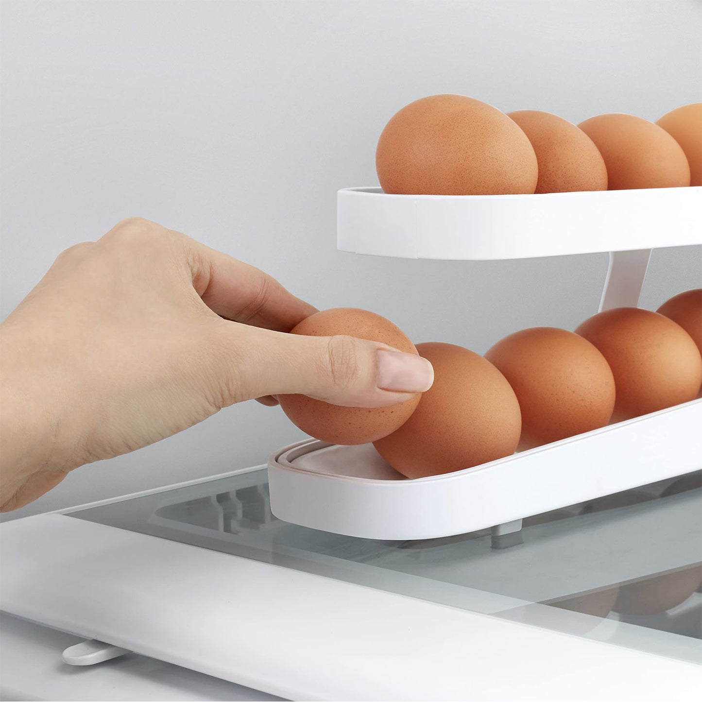 Scrolling Egg Storage Box