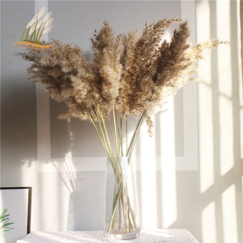 Décor d'herbe de pampa séchée Grand bouquet naturel moelleux