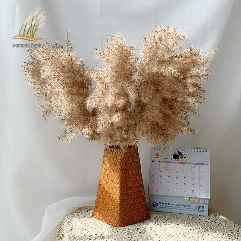 Dried Pampas Grass Décor Fluffy Tall Natural Bouquet