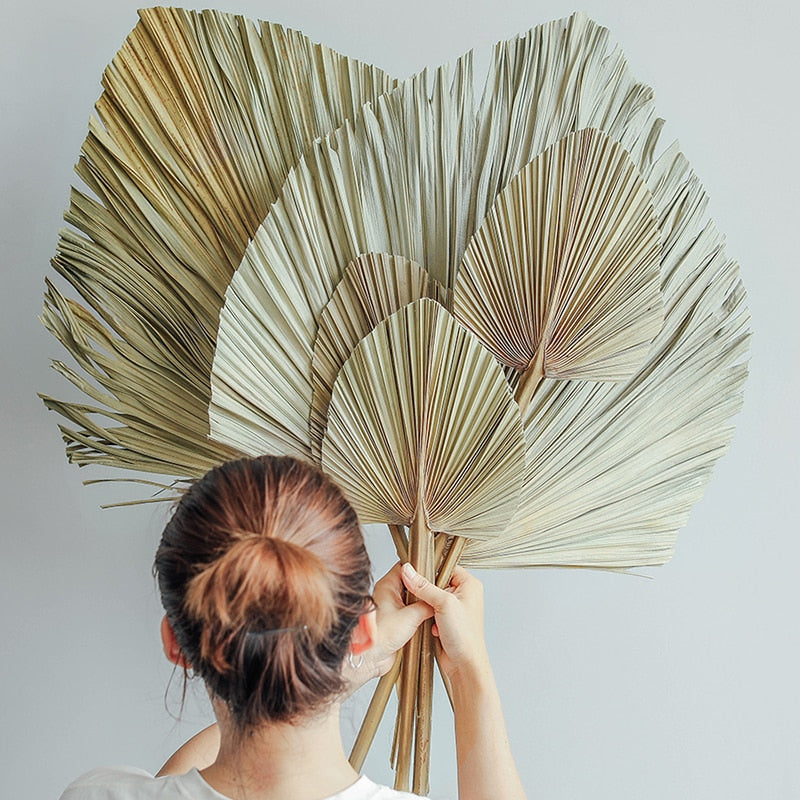 Palm Fan Leaf Decoration - Kayzul Home