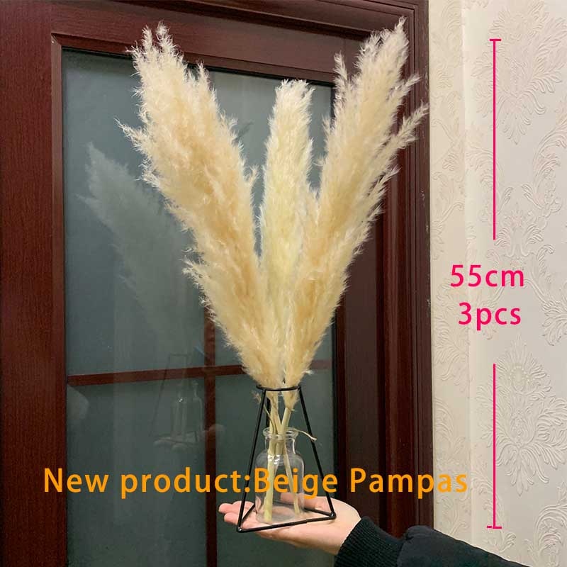 Dried Pampas Grass Décor Fluffy Tall Natural Bouquet