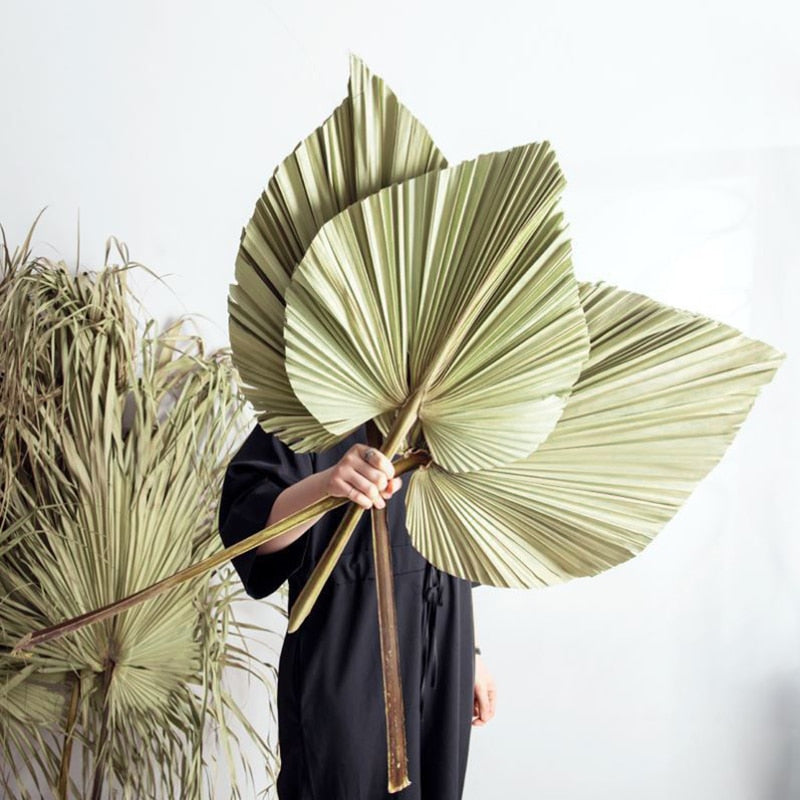 Palm Fan Leaf Decoration - Kayzul Home