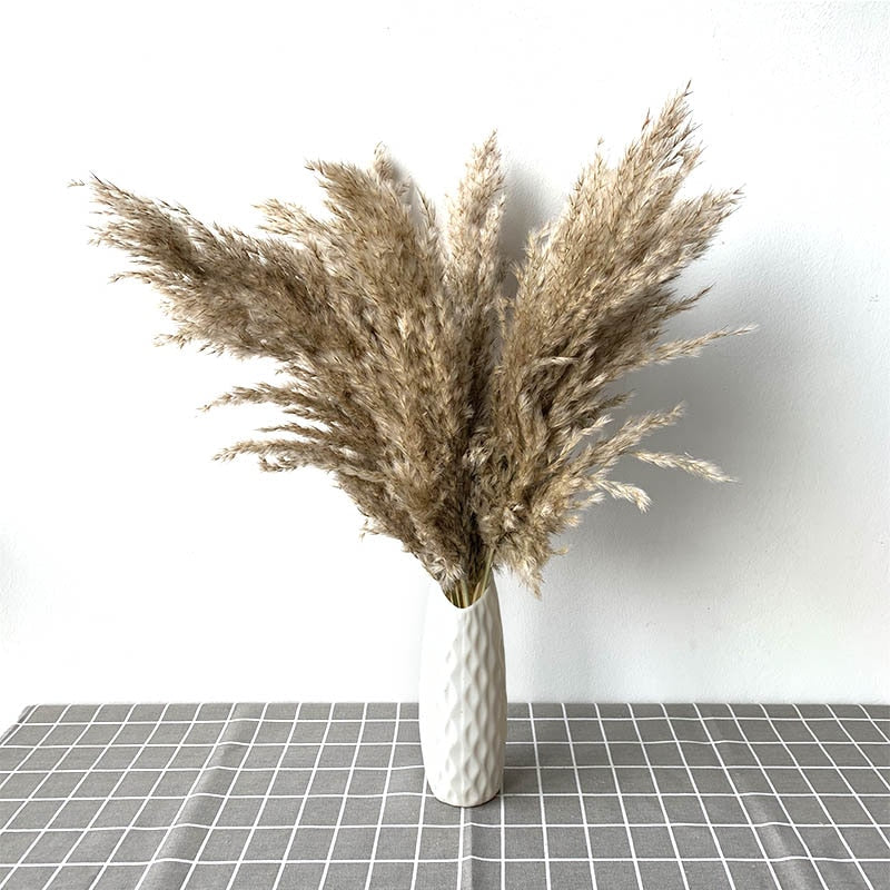 Dried Pampas Grass Décor Fluffy Tall Natural Bouquet