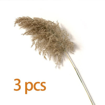 Dried Pampas Grass Décor Fluffy Tall Natural Bouquet