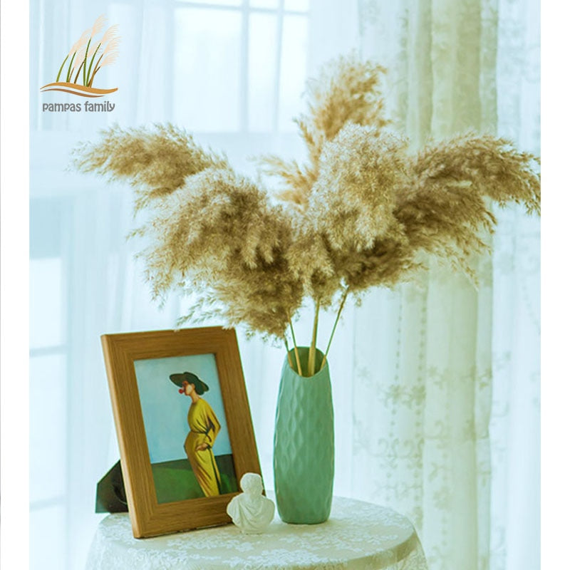 Dried Pampas Grass Décor Fluffy Tall Natural Bouquet