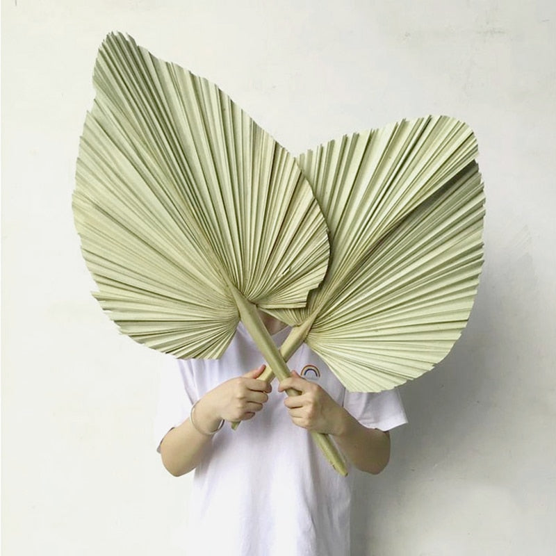 Palm Fan Leaf Decoration - Kayzul Home