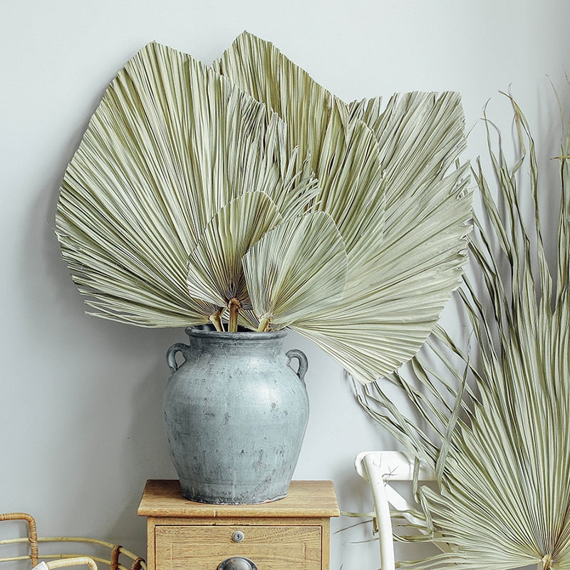 Palm Fan Leaf Decoration - Kayzul Home