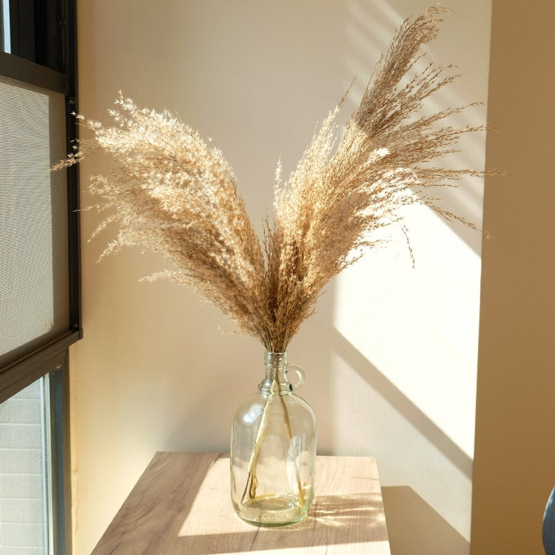 Dried Pampas Grass Décor Fluffy Tall Natural Bouquet