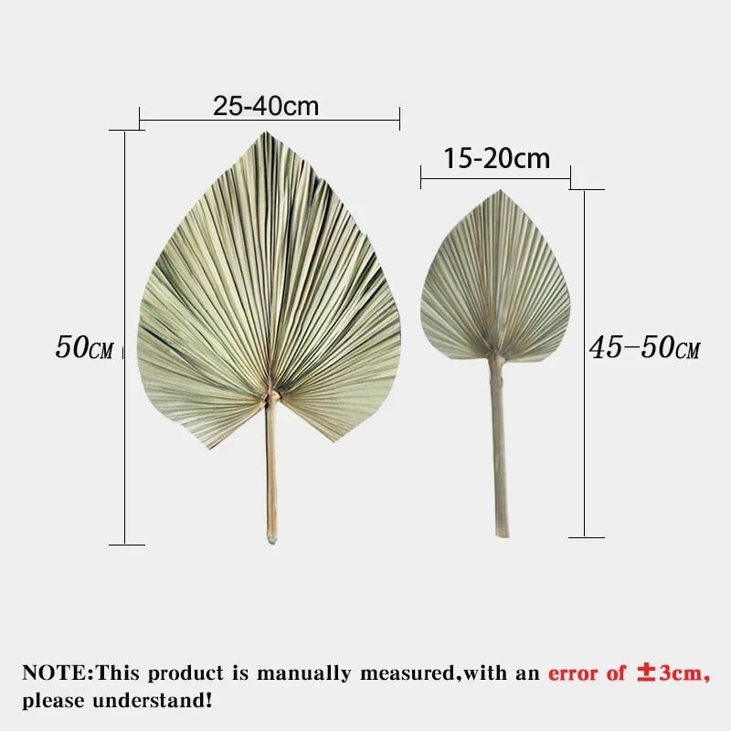 Palm Fan Leaf Decoration - Kayzul Home