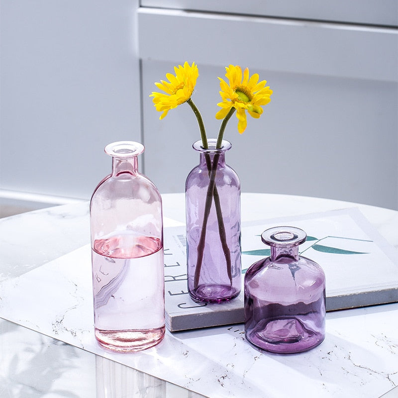 Glasvase Wohnzimmer Getrocknete Blumen Nordic Ins Stil Glas Transparent Dill Dekoration Zubehör Blumenvasen Für Häuser