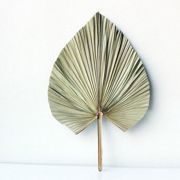 Palm Fan Leaf Decoration - Kayzul Home