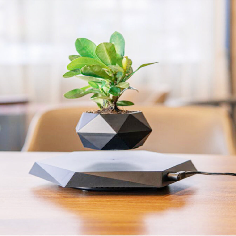 Floating Magnetic Levitating Flower Pot Bonsai Air